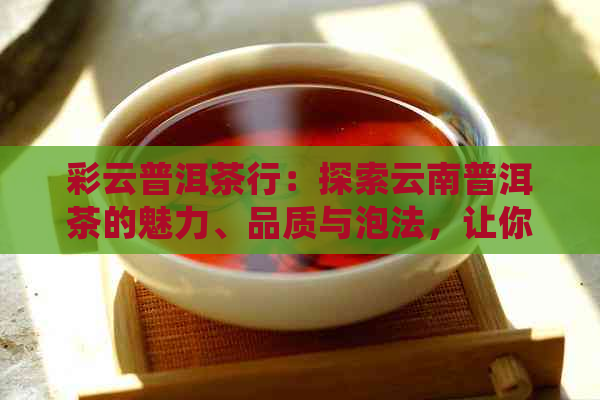 彩云普洱茶行：探索云南普洱茶的魅力、品质与泡法，让你品尝到的味道