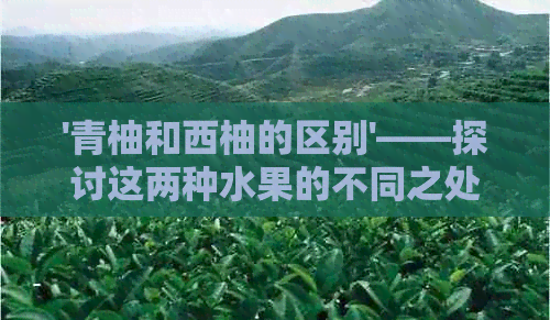 '青柚和西柚的区别'——探讨这两种水果的不同之处