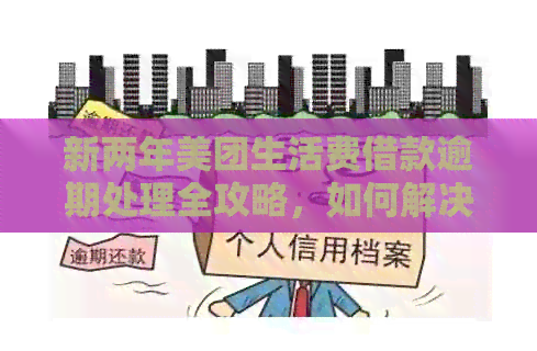 新两年美团生活费借款逾期处理全攻略，如何解决？