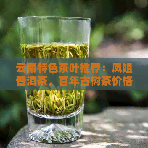 云南特色茶叶推荐：凤姐普洱茶，百年古树茶价格实一览表