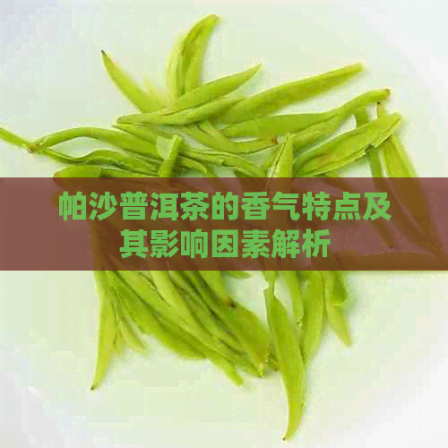 帕沙普洱茶的香气特点及其影响因素解析