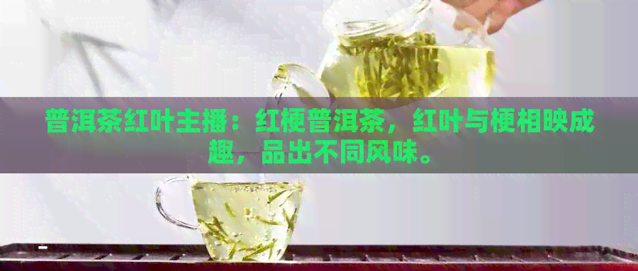 普洱茶红叶主播：红梗普洱茶，红叶与梗相映成趣，品出不同风味。