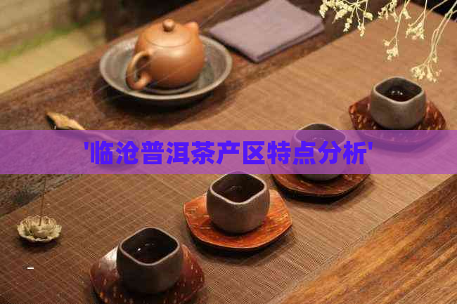 '临沧普洱茶产区特点分析'
