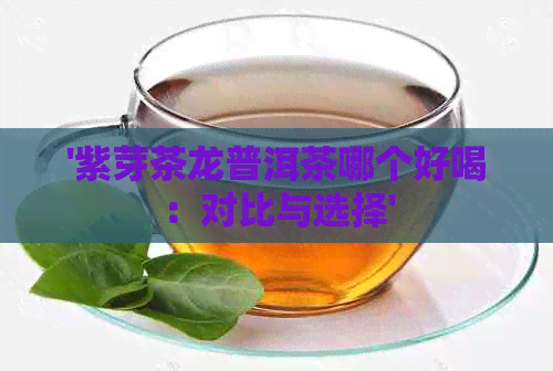 '紫芽茶龙普洱茶哪个好喝：对比与选择'