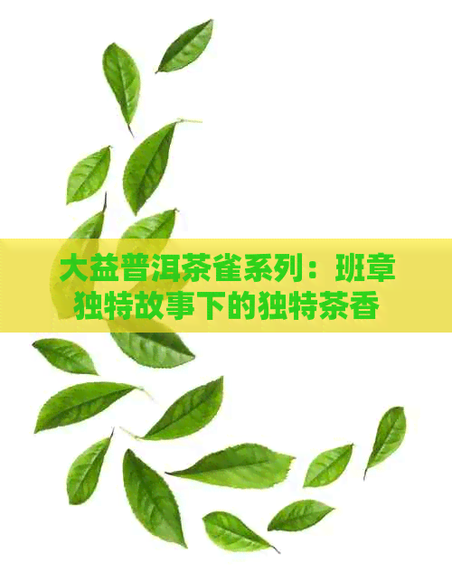 大益普洱茶雀系列：班章独特故事下的独特茶香