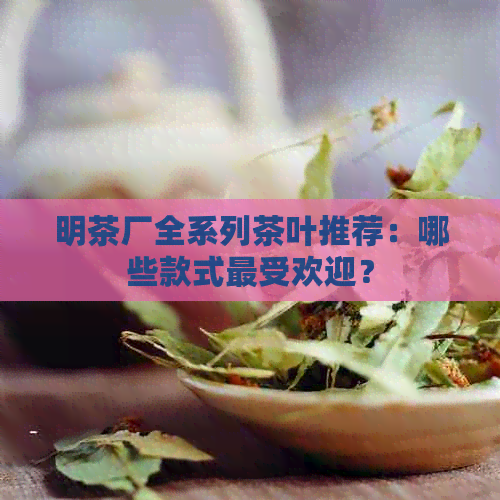 明茶厂全系列茶叶推荐：哪些款式更受欢迎？