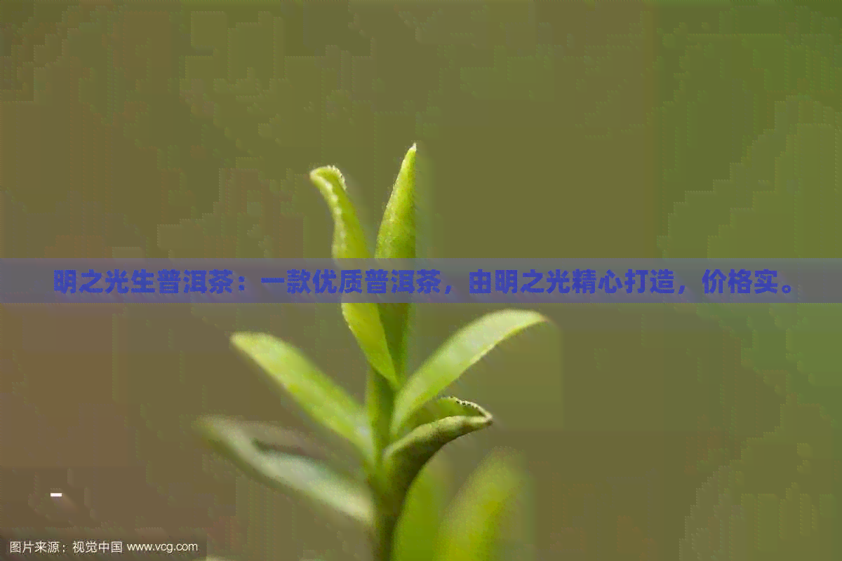 明之光生普洱茶：一款优质普洱茶，由明之光精心打造，价格实。