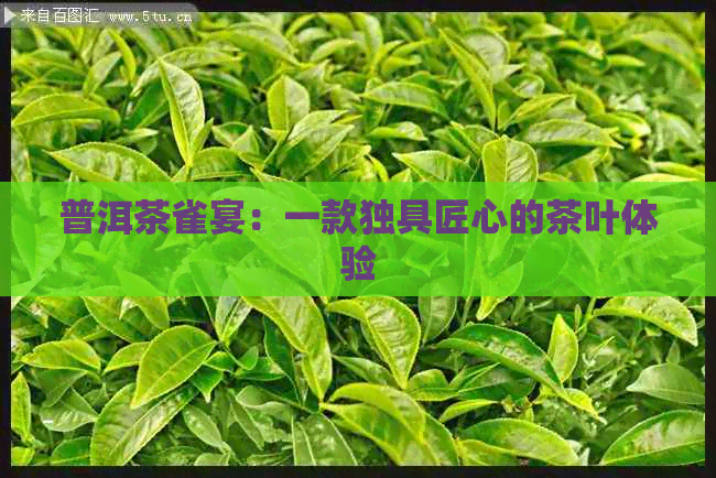 普洱茶雀宴：一款独具匠心的茶叶体验