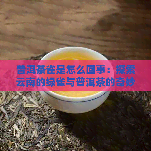 普洱茶雀是怎么回事：探索云南的绿雀与普洱茶的奇妙关系