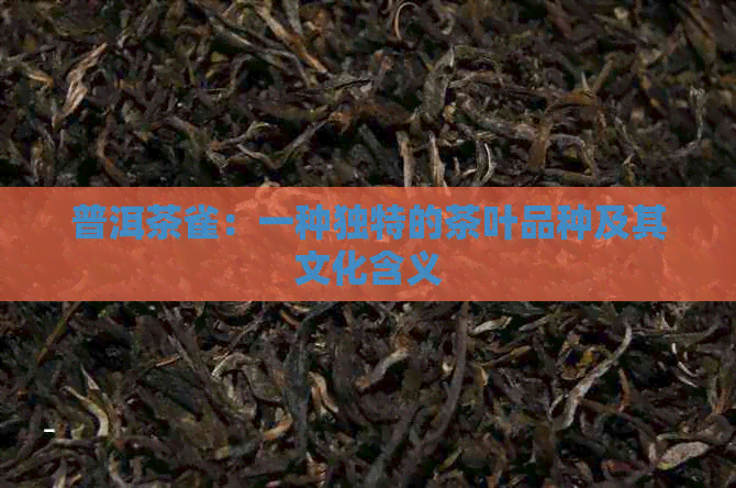 普洱茶雀：一种独特的茶叶品种及其文化含义