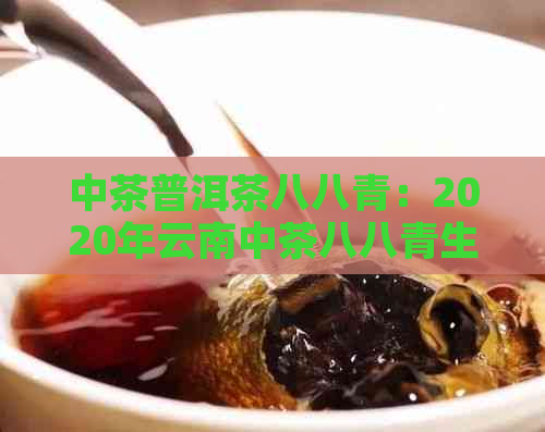 中茶普洱茶八八青：2020年云南中茶八八青生普价格及收藏价值解析