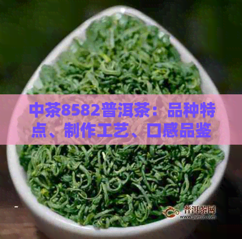 中茶8582普洱茶：品种特点、制作工艺、口感品鉴及购买指南
