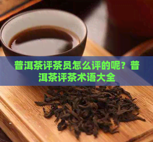 普洱茶评茶员怎么评的呢？普洱茶评茶术语大全