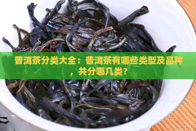 普洱茶分类大全：普洱茶有哪些类型及品种，共分哪几类？