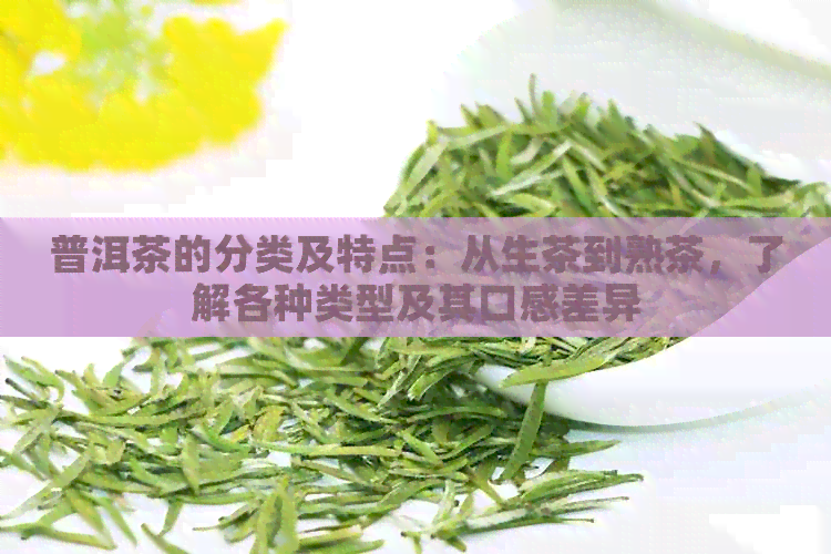 普洱茶的分类及特点：从生茶到熟茶，了解各种类型及其口感差异