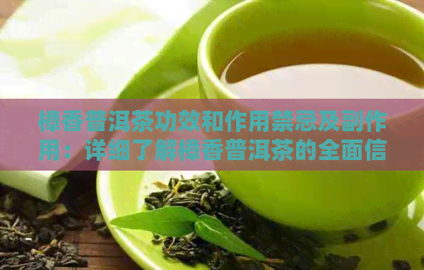 樟香普洱茶功效和作用禁忌及副作用：详细了解樟香普洱茶的全面信息