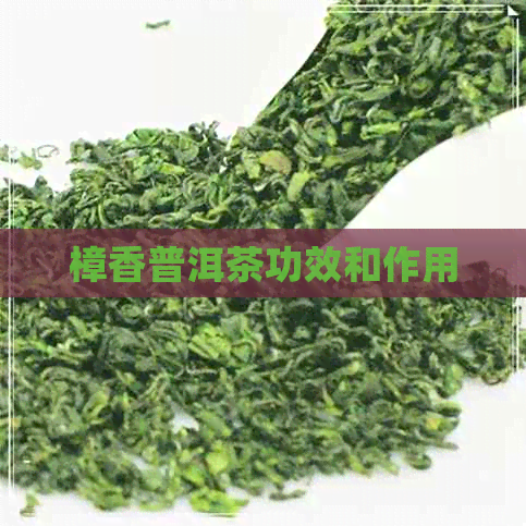 樟香普洱茶功效和作用