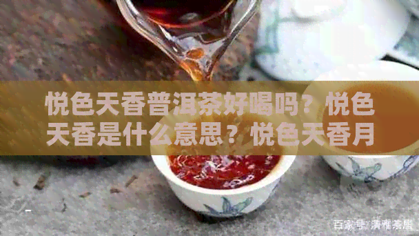 悦色天香普洱茶好喝吗？悦色天香是什么意思？悦色天香月饼怎么样？