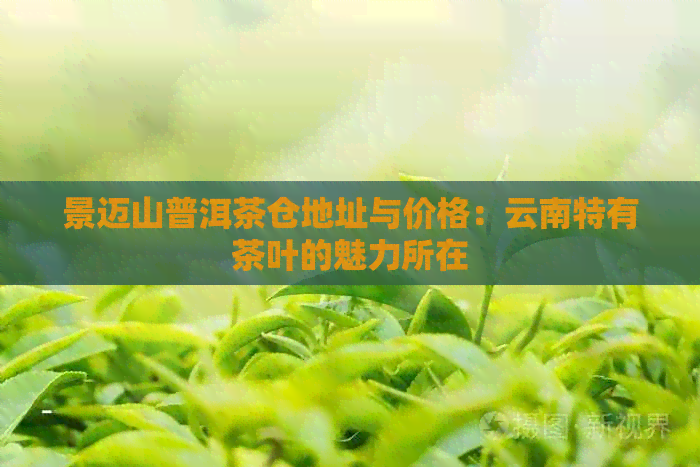 景迈山普洱茶仓地址与价格：云南特有茶叶的魅力所在