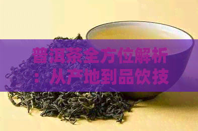 普洱茶全方位解析：从产地到品饮技巧，一篇解决所有疑问的入门指南