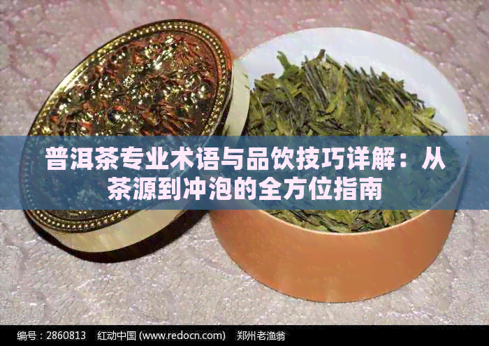 普洱茶专业术语与品饮技巧详解：从茶源到冲泡的全方位指南