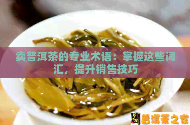 卖普洱茶的专业术语：掌握这些词汇，提升销售技巧