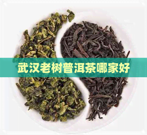 武汉老树普洱茶哪家好