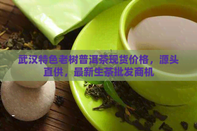 武汉特色老树普洱茶现货价格，源头直供，最新生茶批发商机