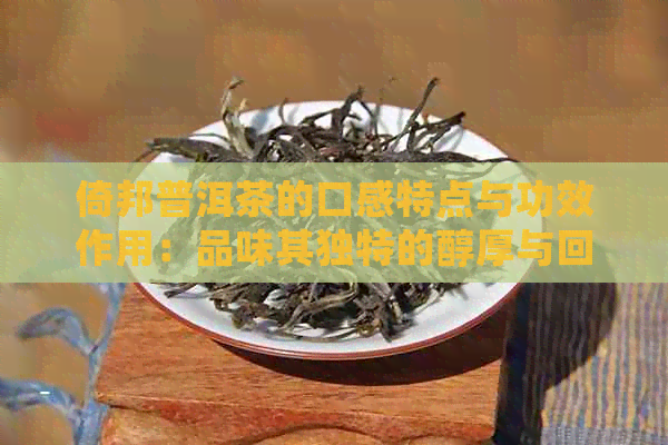 倚邦普洱茶的口感特点与功效作用：品味其独特的醇厚与回