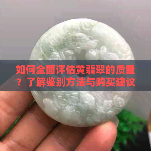 如何全面评估黄翡翠的质量？了解鉴别方法与购买建议