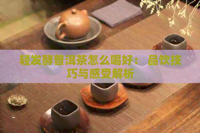 轻发酵普洱茶怎么喝好： 品饮技巧与感受解析