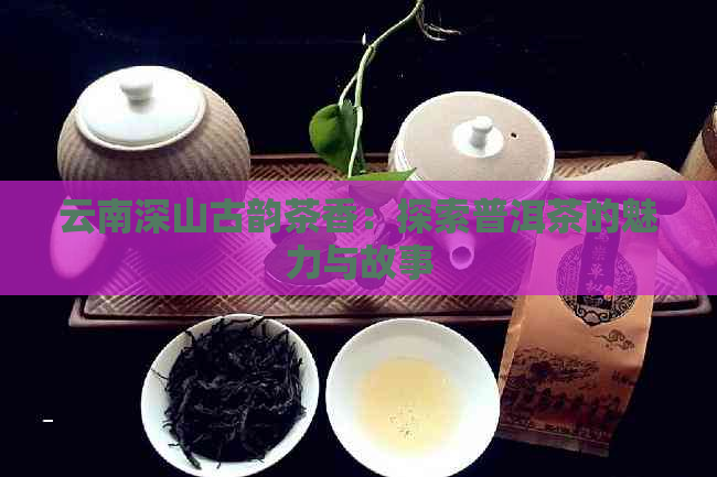 云南深山古韵茶香：探索普洱茶的魅力与故事