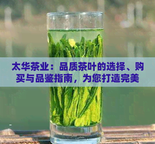 太华茶业：品质茶叶的选择、购买与品鉴指南，为您打造完美的茶艺体验