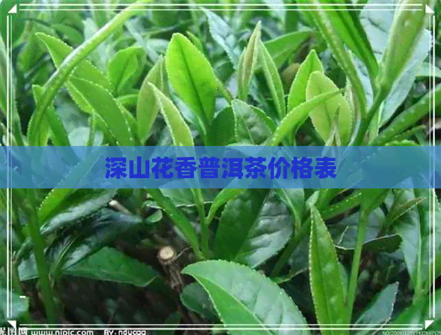 深山花香普洱茶价格表