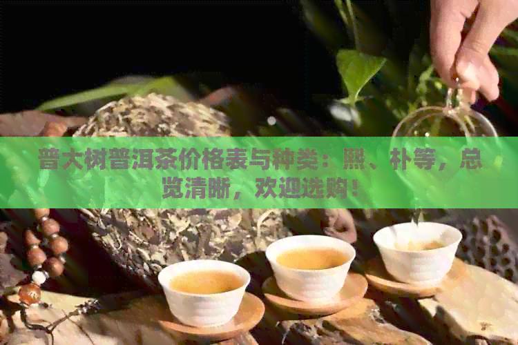 普大树普洱茶价格表与种类：熙、朴等，总览清晰，欢迎选购！