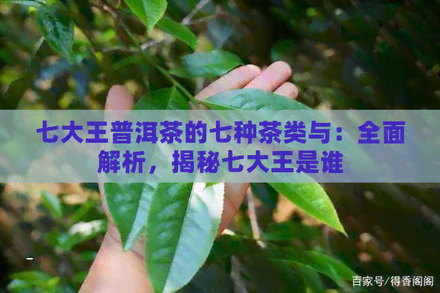 七大王普洱茶的七种茶类与：全面解析，揭秘七大王是谁