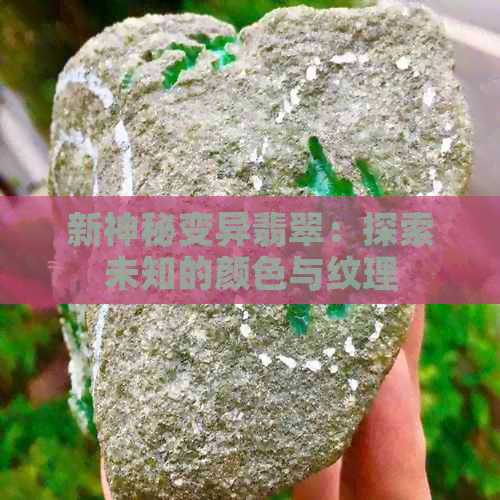 新神秘变异翡翠：探索未知的颜色与纹理