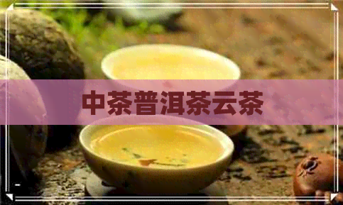 中茶普洱茶云茶