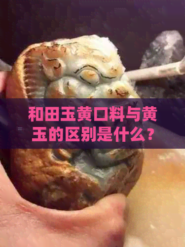 和田玉黄口料与黄玉的区别是什么？