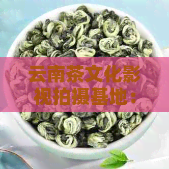 云南茶文化影视拍摄基地：探索普洱茶的历与魅力