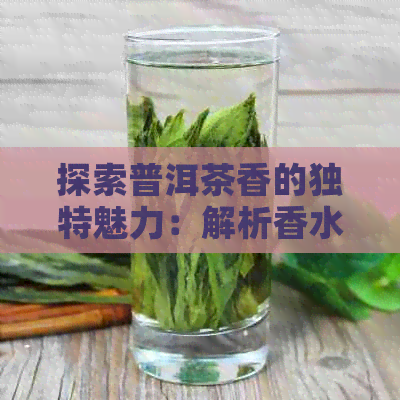 探索普洱茶香的独特魅力：解析香水中的茶香香型