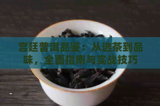 宫廷普洱品鉴：从选茶到品味，全面指南与实战技巧