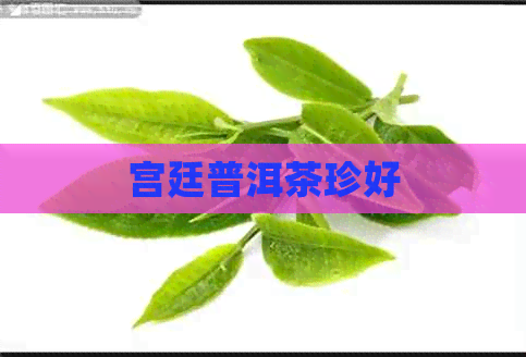 宫廷普洱茶珍好