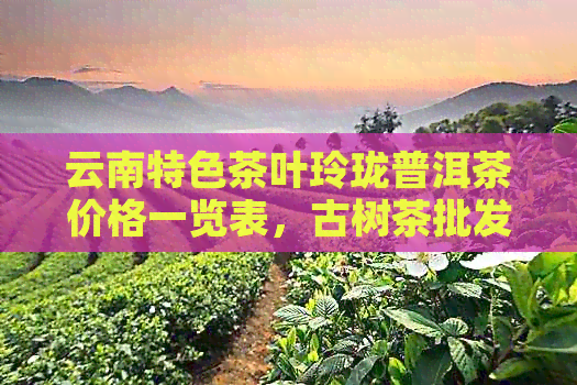 云南特色茶叶玲珑普洱茶价格一览表，古树茶批发货源