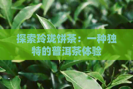 探索玲珑饼茶：一种独特的普洱茶体验