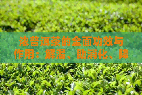 浓普洱茶的全面功效与作用：解渴、助消化、降脂减肥等多方面的健益处