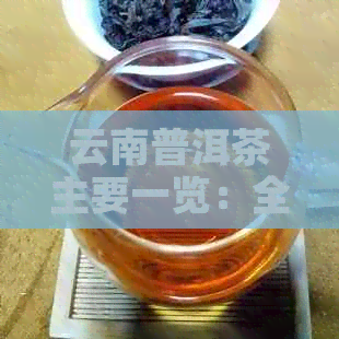 云南普洱茶主要一览：全方位了解优质普洱茶，助您挑选适合的茶叶