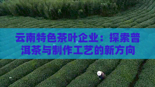 云南特色茶叶企业：探索普洱茶与制作工艺的新方向