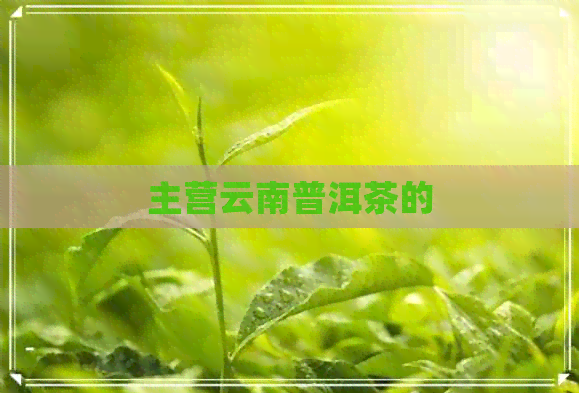 主营云南普洱茶的