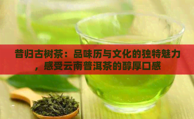 昔归古树茶：品味历与文化的独特魅力，感受云南普洱茶的醇厚口感